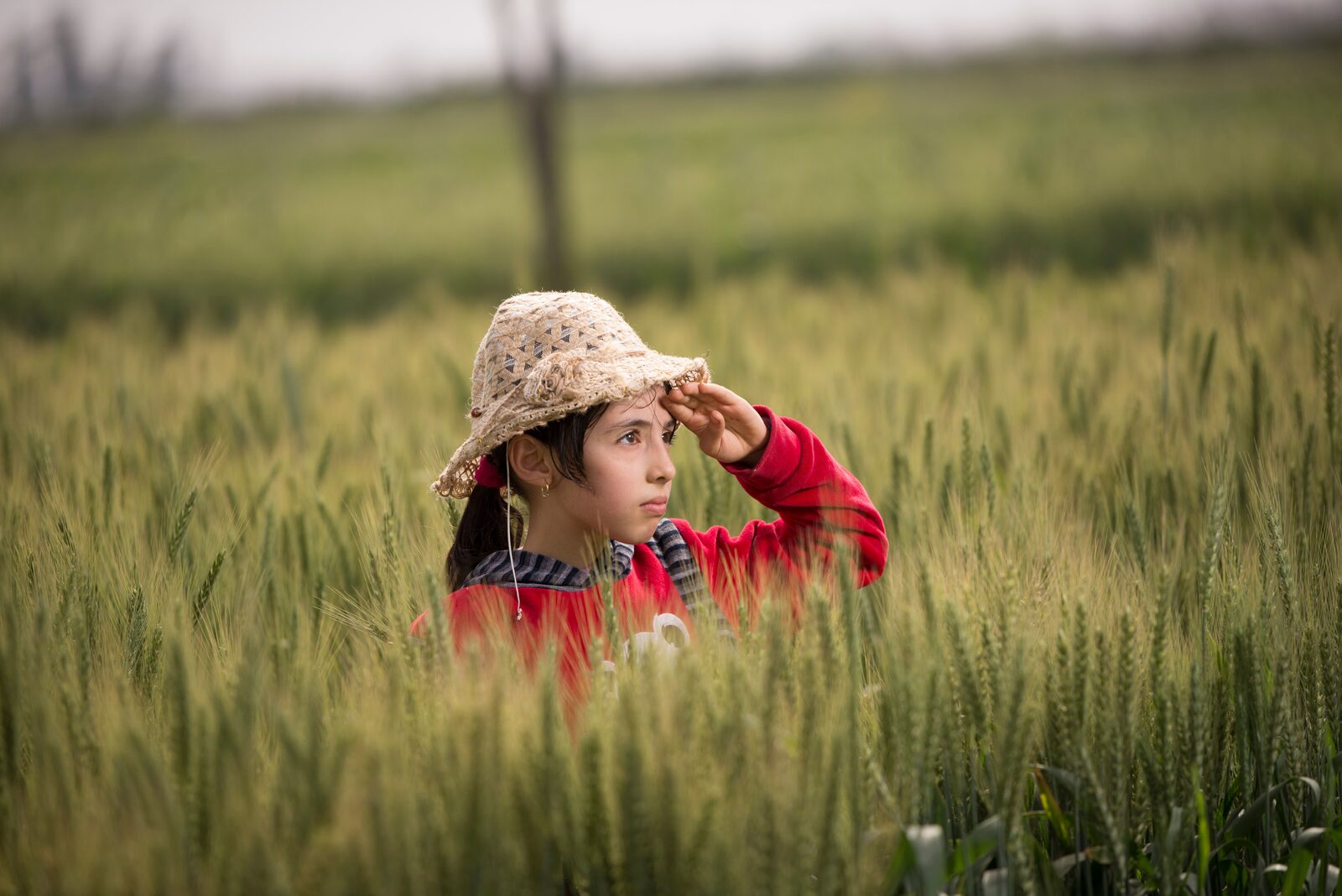 A young farmer walking through a diverse cover-cropped field at golden hour