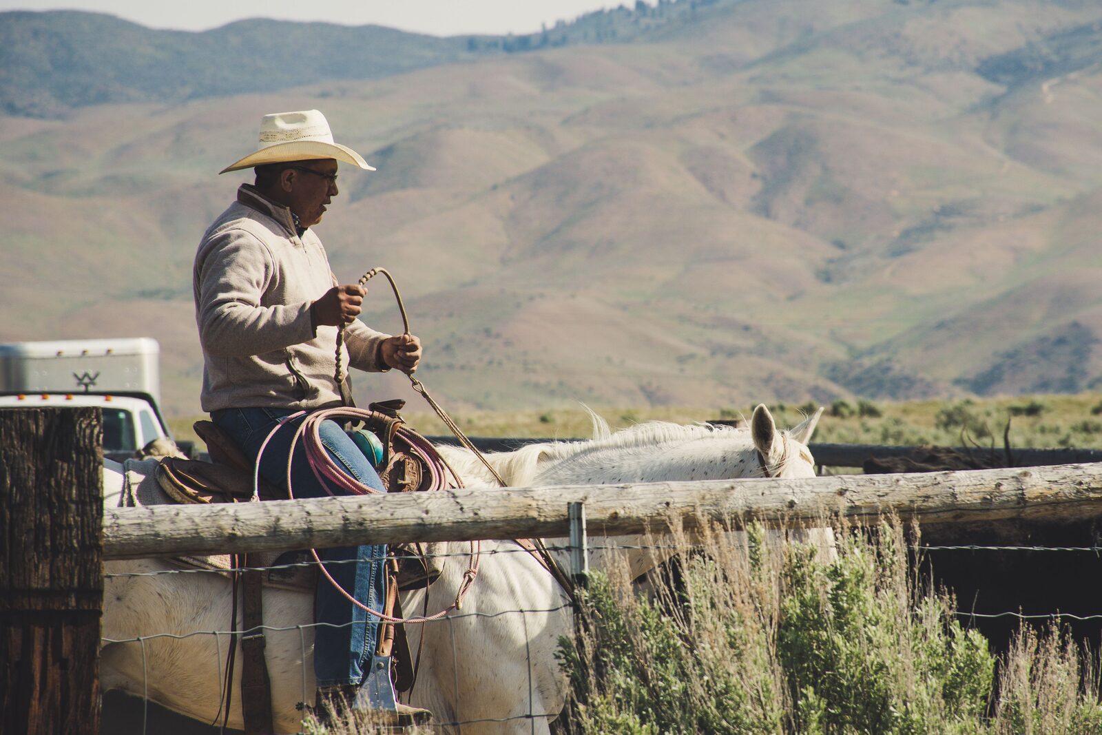 Cattle grazing on open rangeland with a rancher checking a fence line at dawn