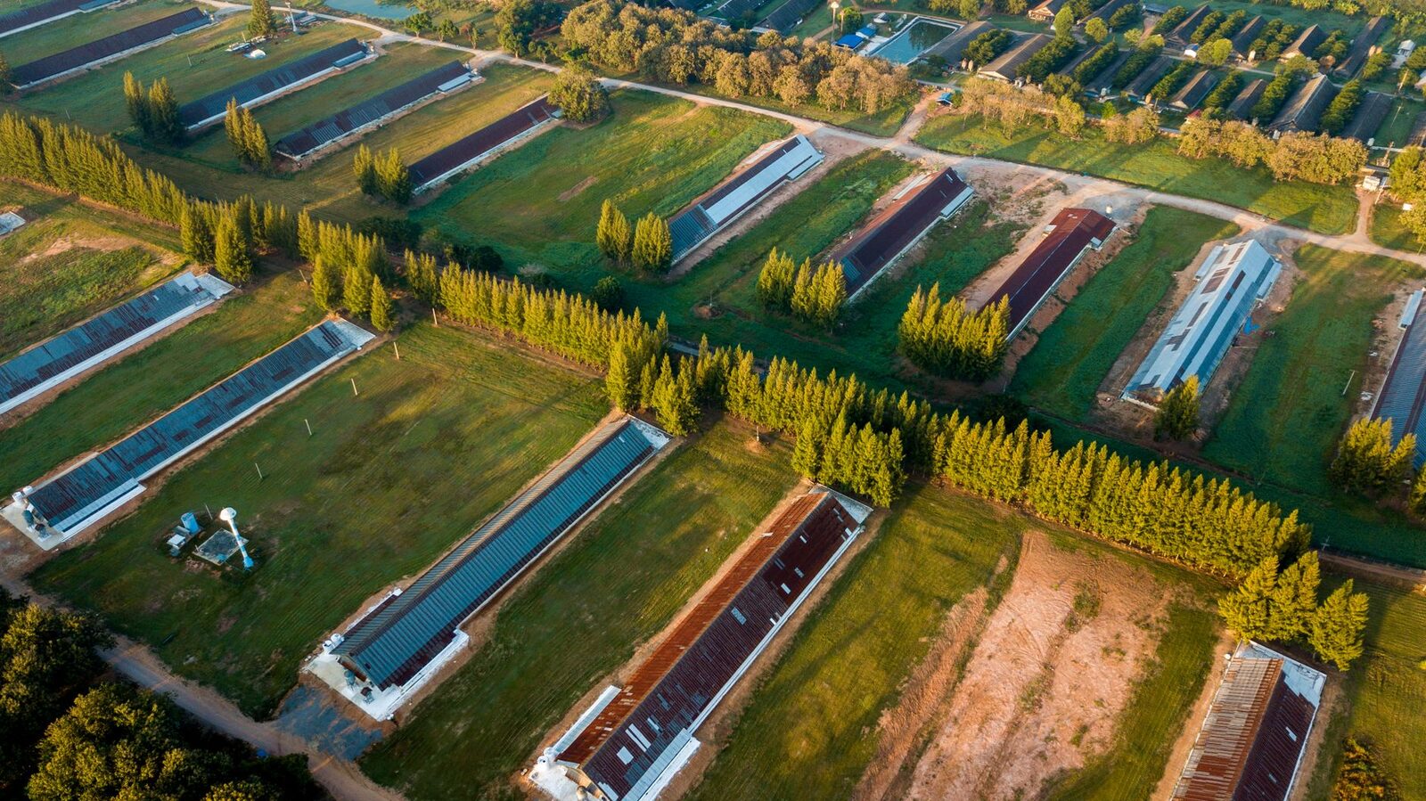 Aerial view of utility-scale solar panels abutting row-crop fields in the rural Midwest