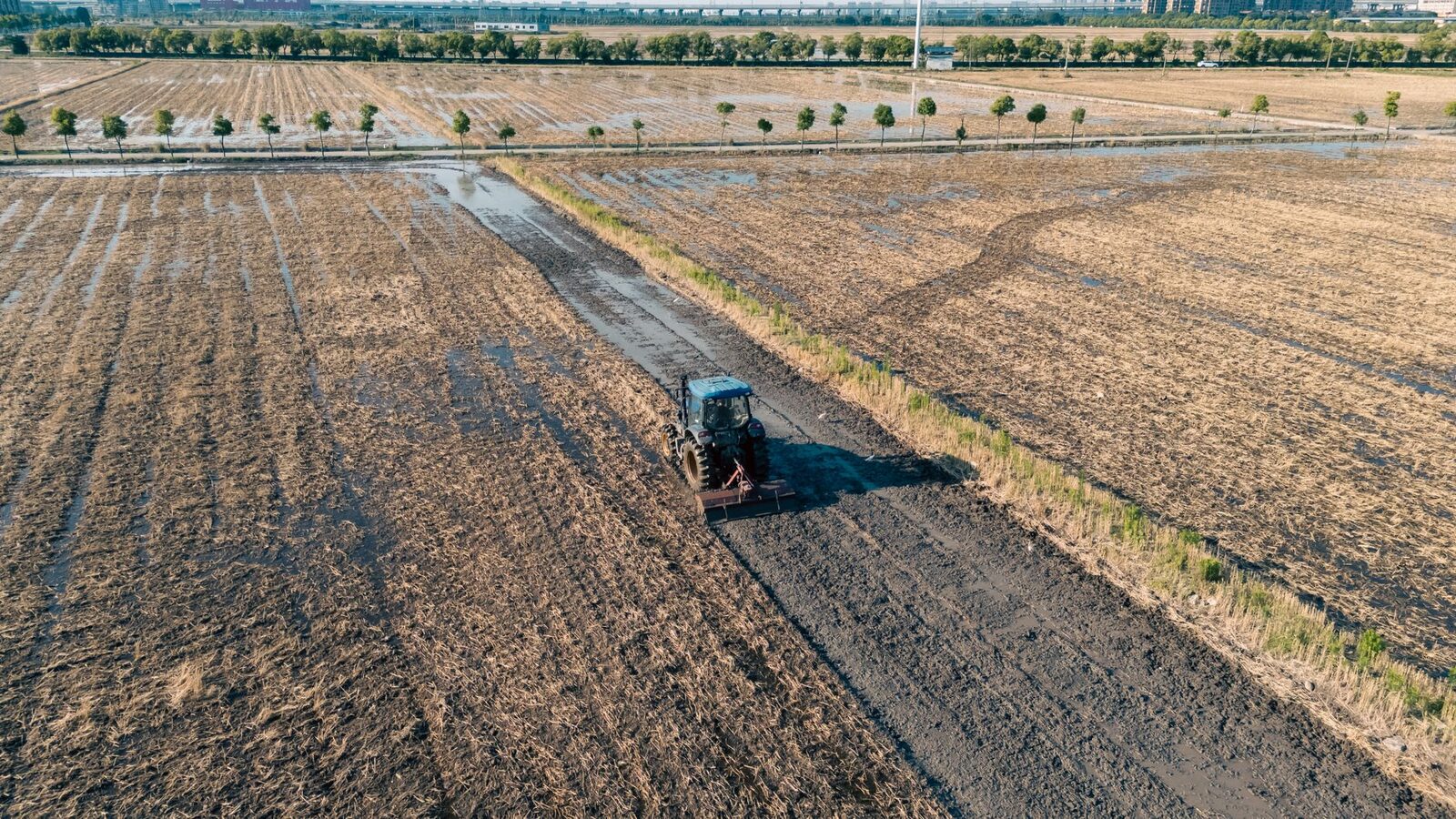 Aerial view of flat Midwestern cropland stretching to the horizon at dusk