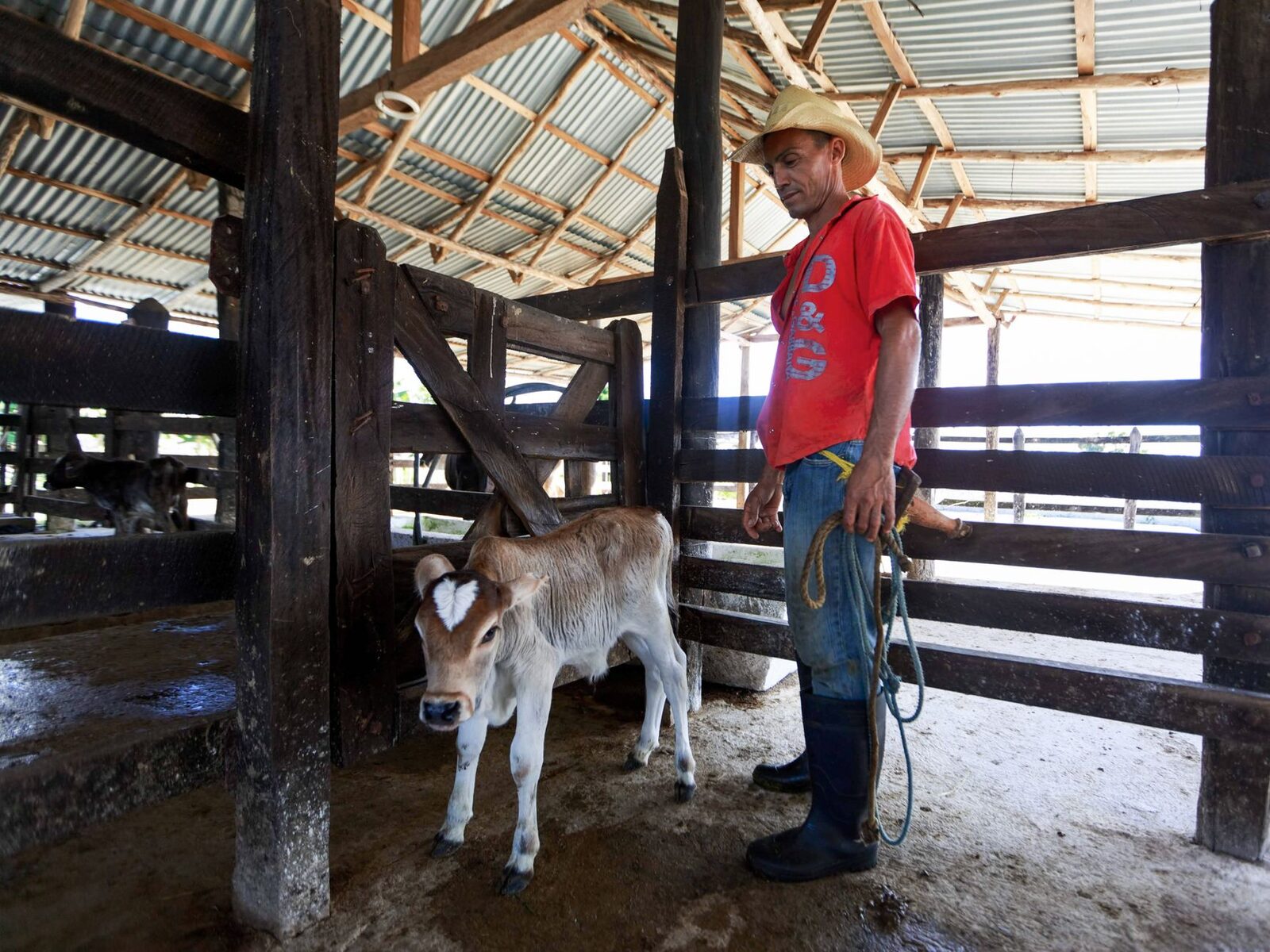 Ranchers discussing livestock health across the US-Mexico border