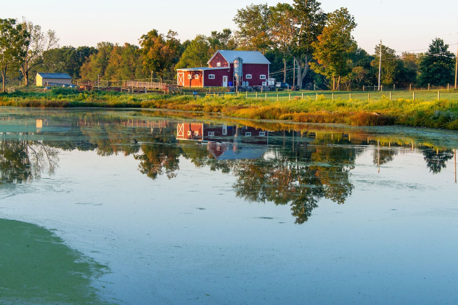 Farm irrigation and groundwater contamination concerns