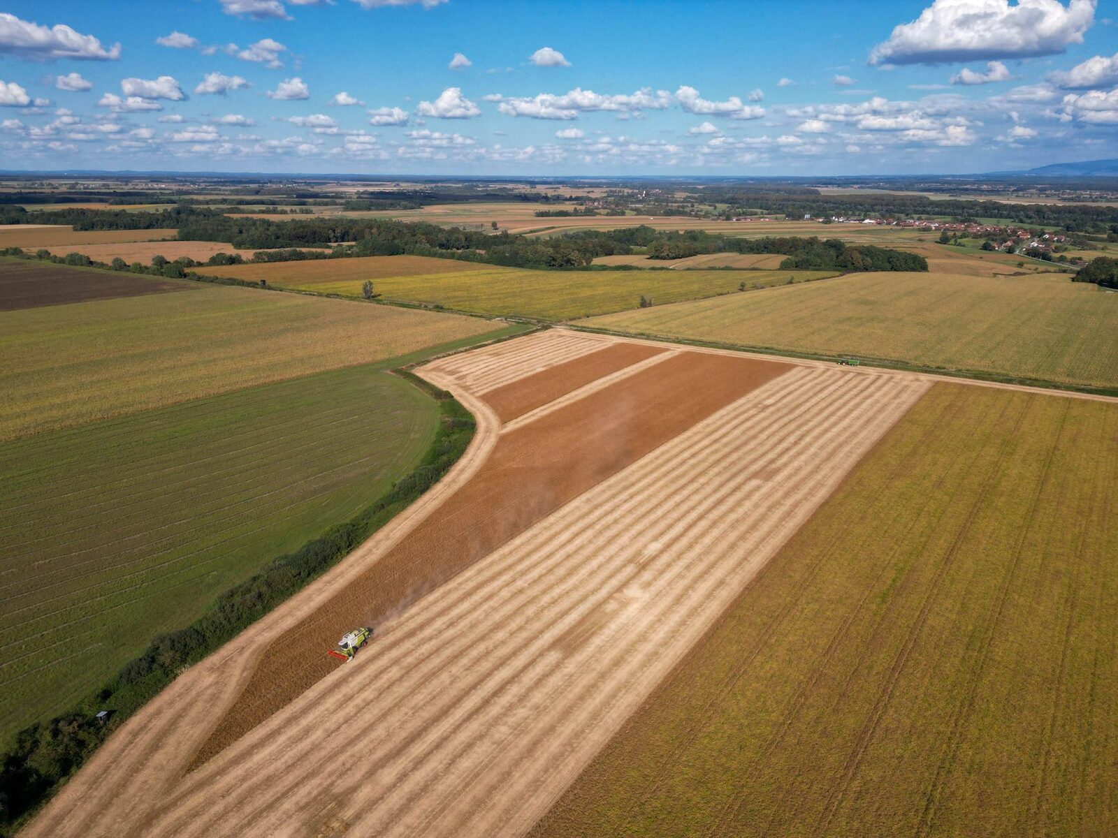 Farmland landscape representing the consolidation crisis affecting small and medium-sized farms across America