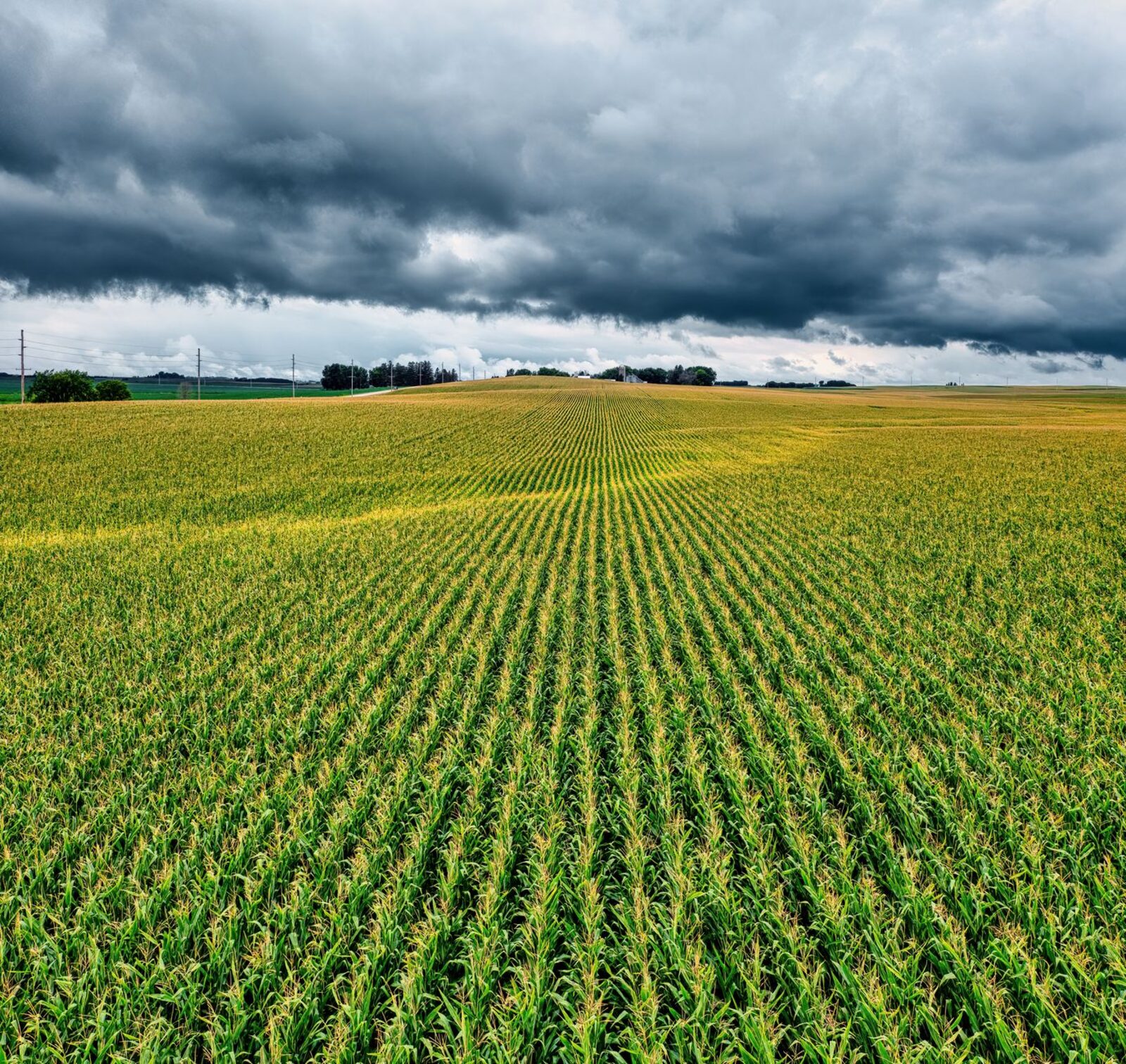 Flooded farmland in the Midwest with standing water