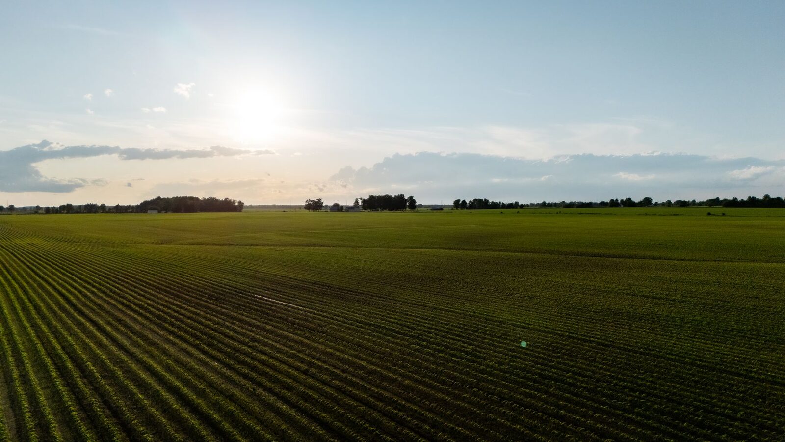 Aerial view of industrial agricultural infrastructure representing corporate farmland consolidation