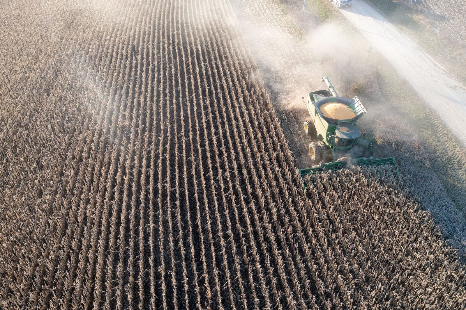 Empty combine in field with drought-stressed crops