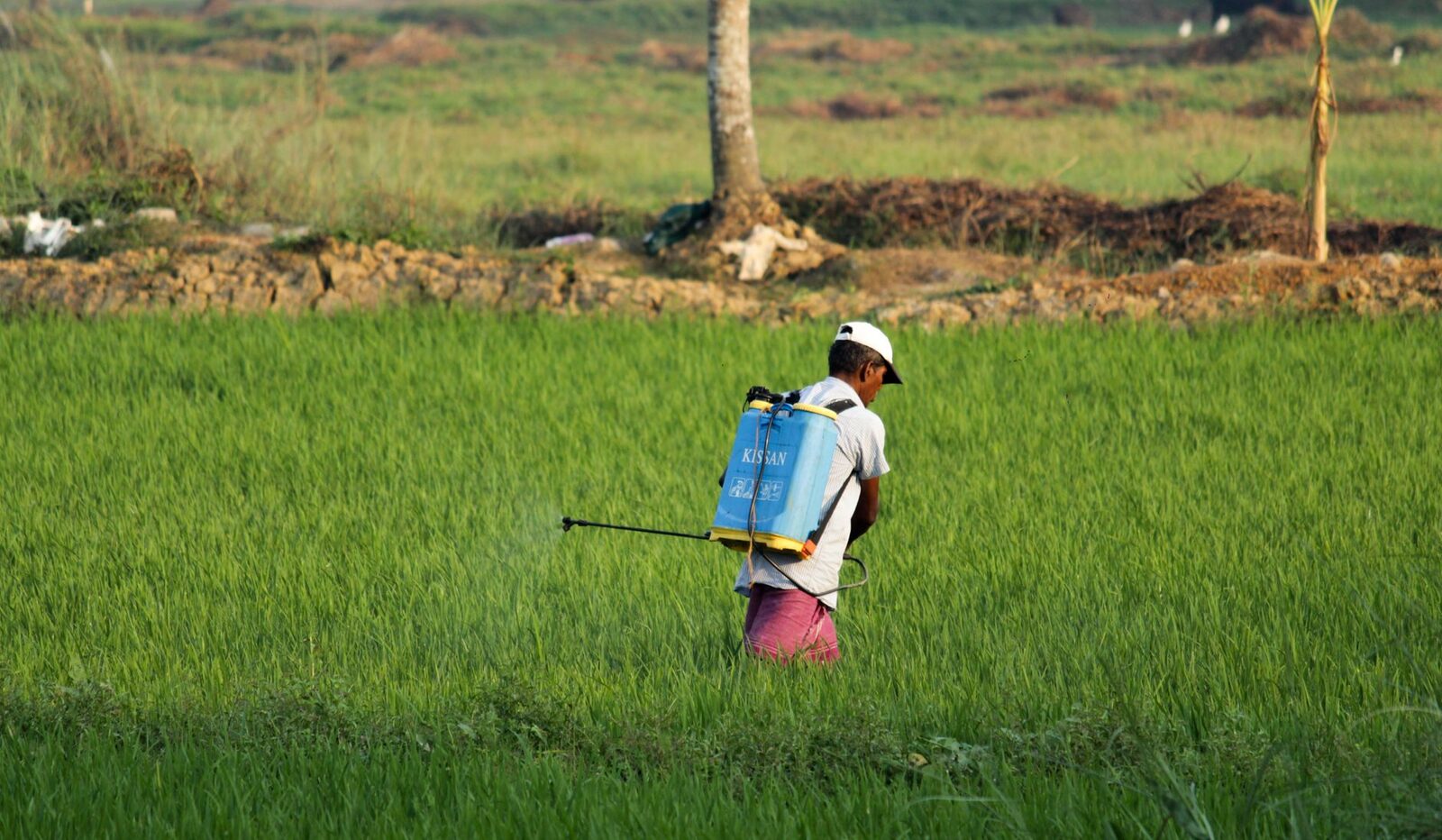 Fields with pesticide spray equipment under gray skies