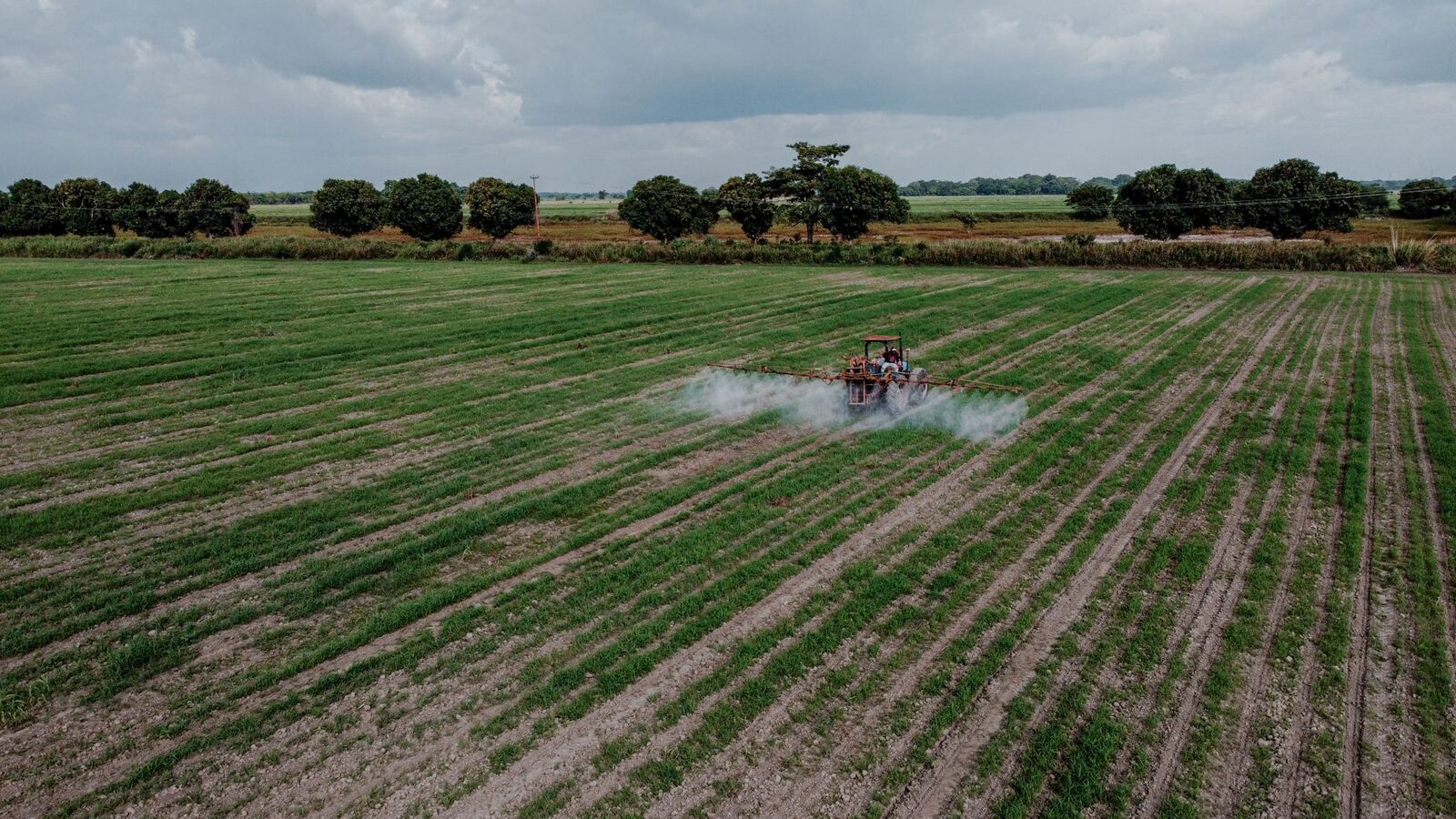 Agricultural field with irrigation system