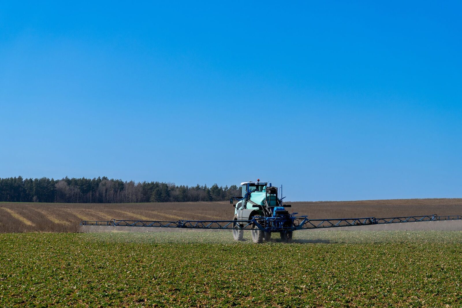 Agricultural field at harvest time