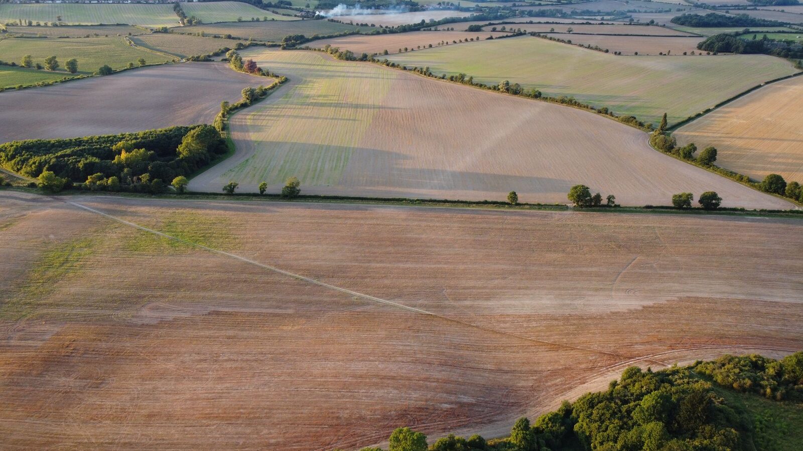 U.S. cropland amid rising commodity prices and land valuations