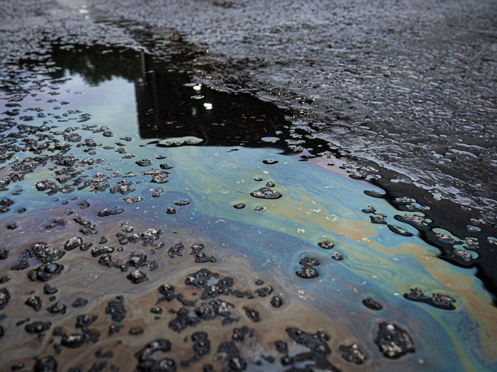 Agricultural landscape with water systems vulnerable to PFAS contamination