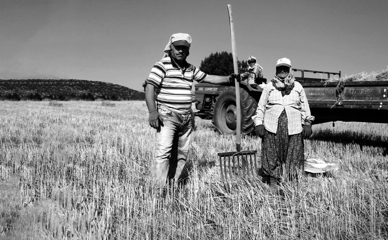 Historical photograph of young farmers in agricultural training