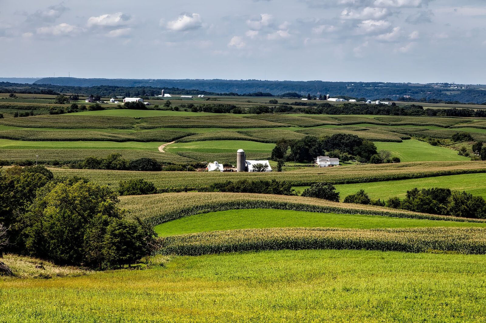 Young beginning farmer in Iowa field