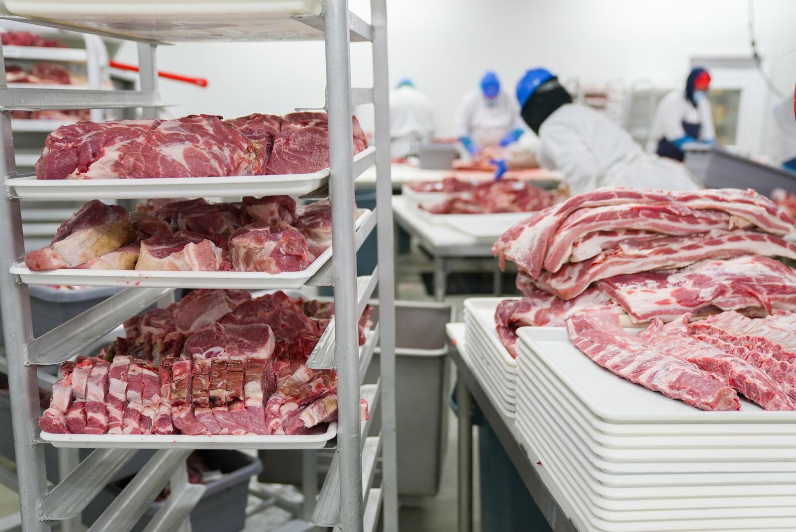 Beef processing facility