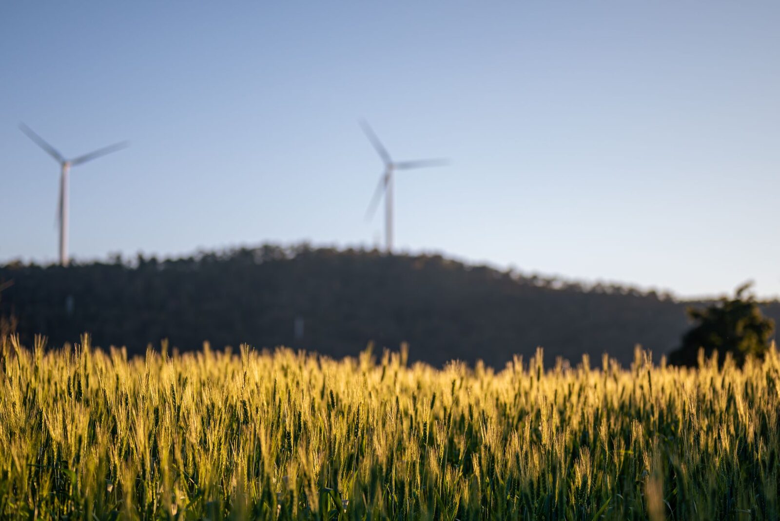 Farm fields with diverse crop cover and regenerative practices