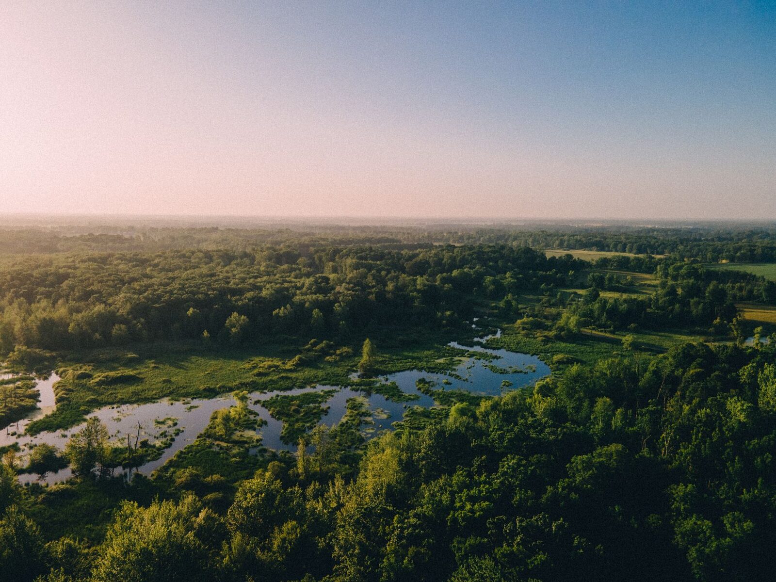 Aerial view of Michigan farmland and forest