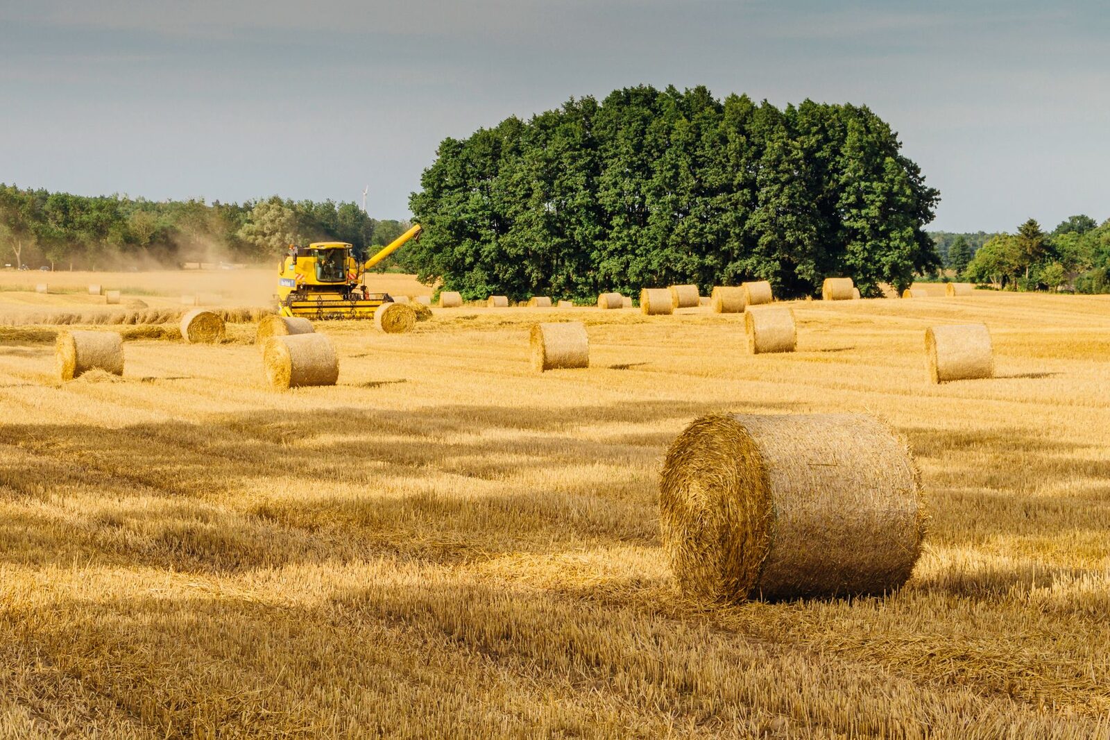 Family farm at harvest season with combines and grain bins