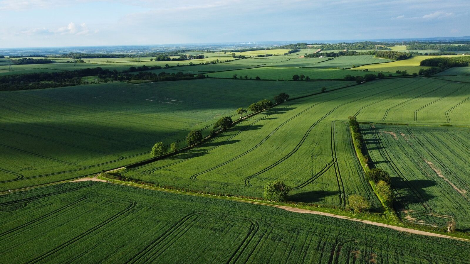 American farmland at harvest