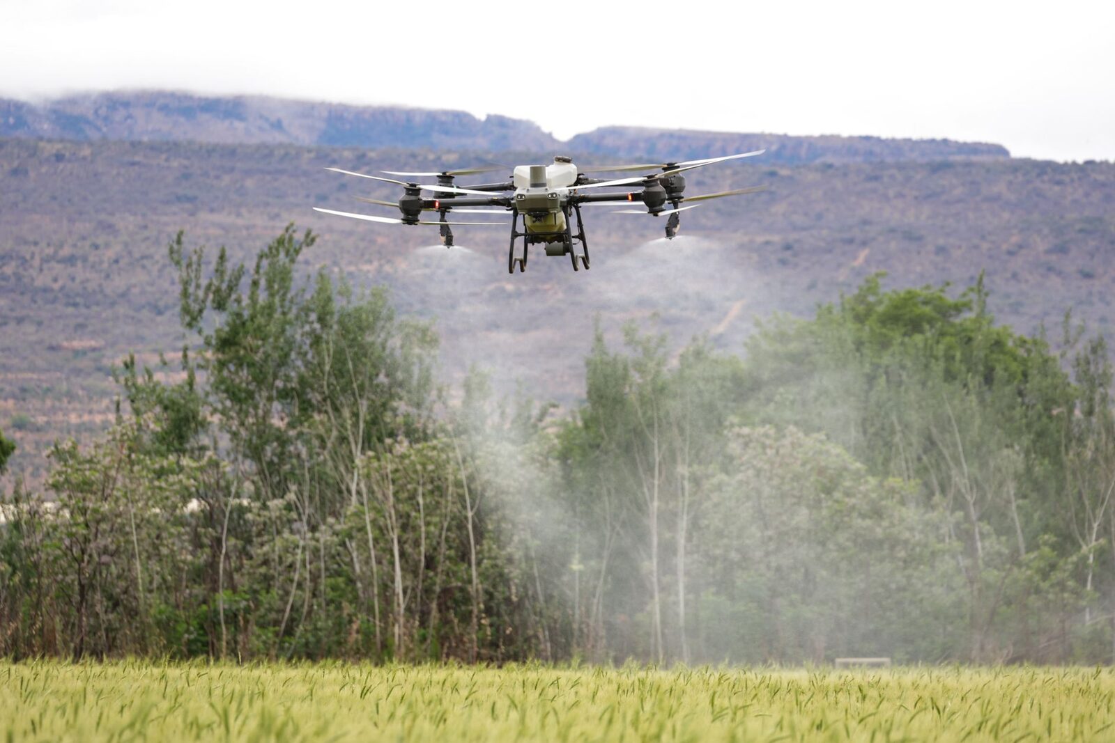 Farmer examining drone technology in the field