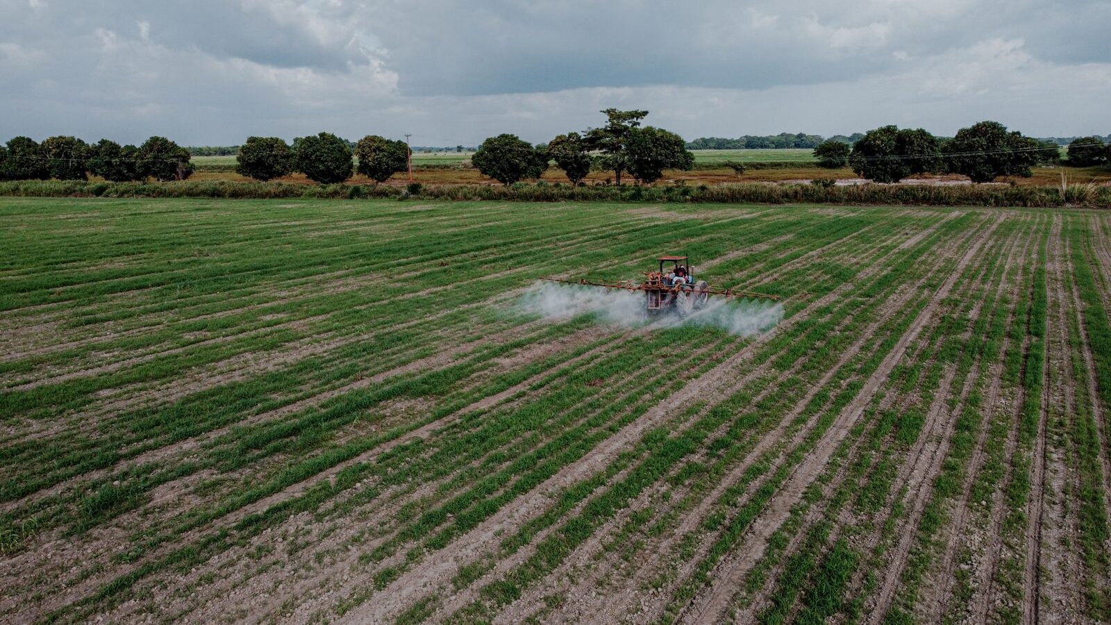 Agricultural landscape with industrial operations