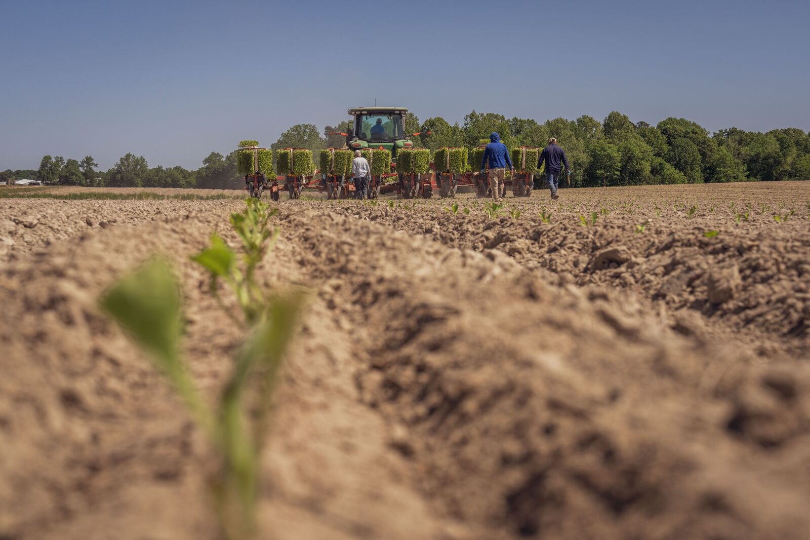 USDA value-added agriculture program helps farmers build business resilience