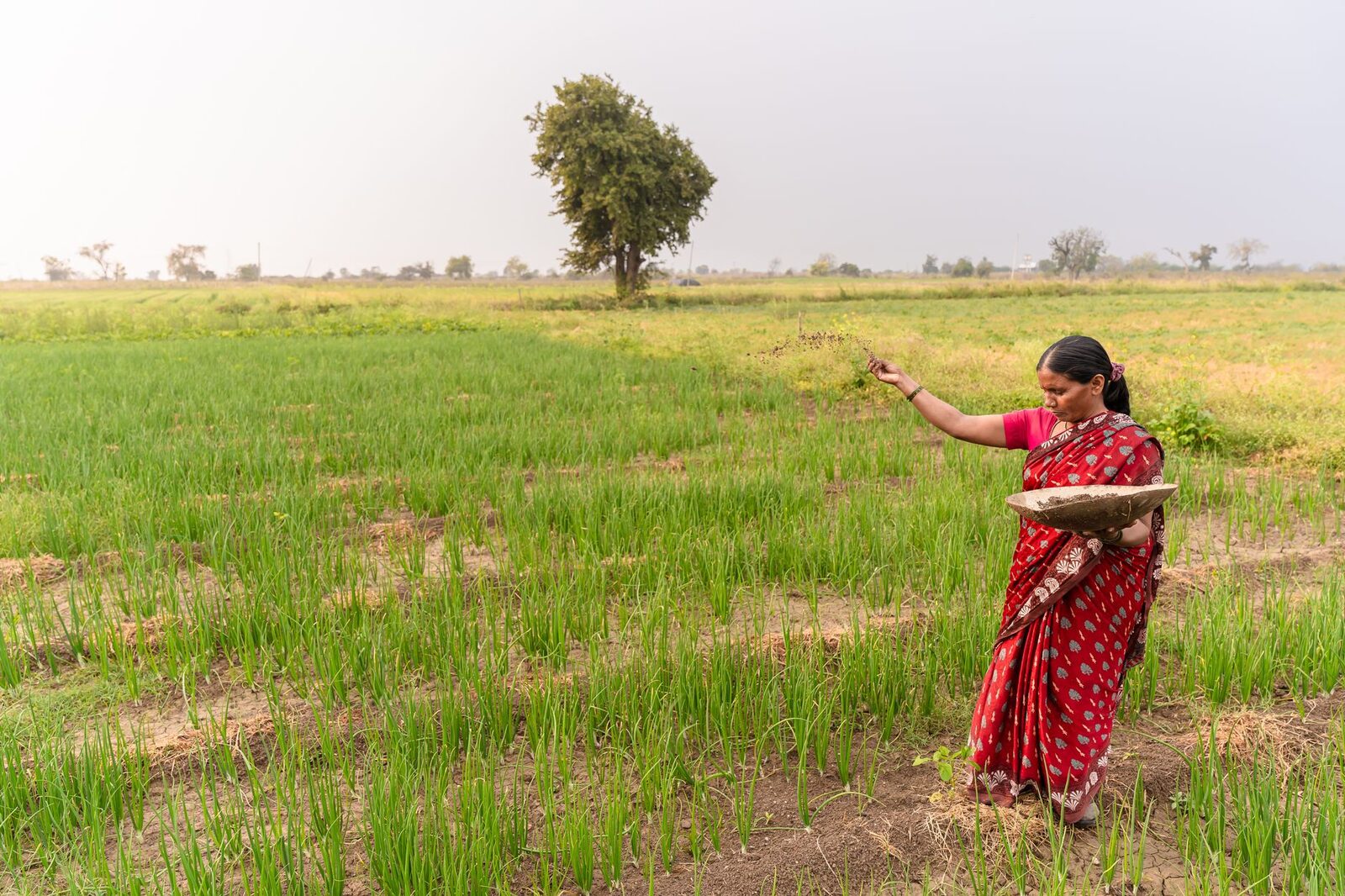 Farmer in a field with fertilizers