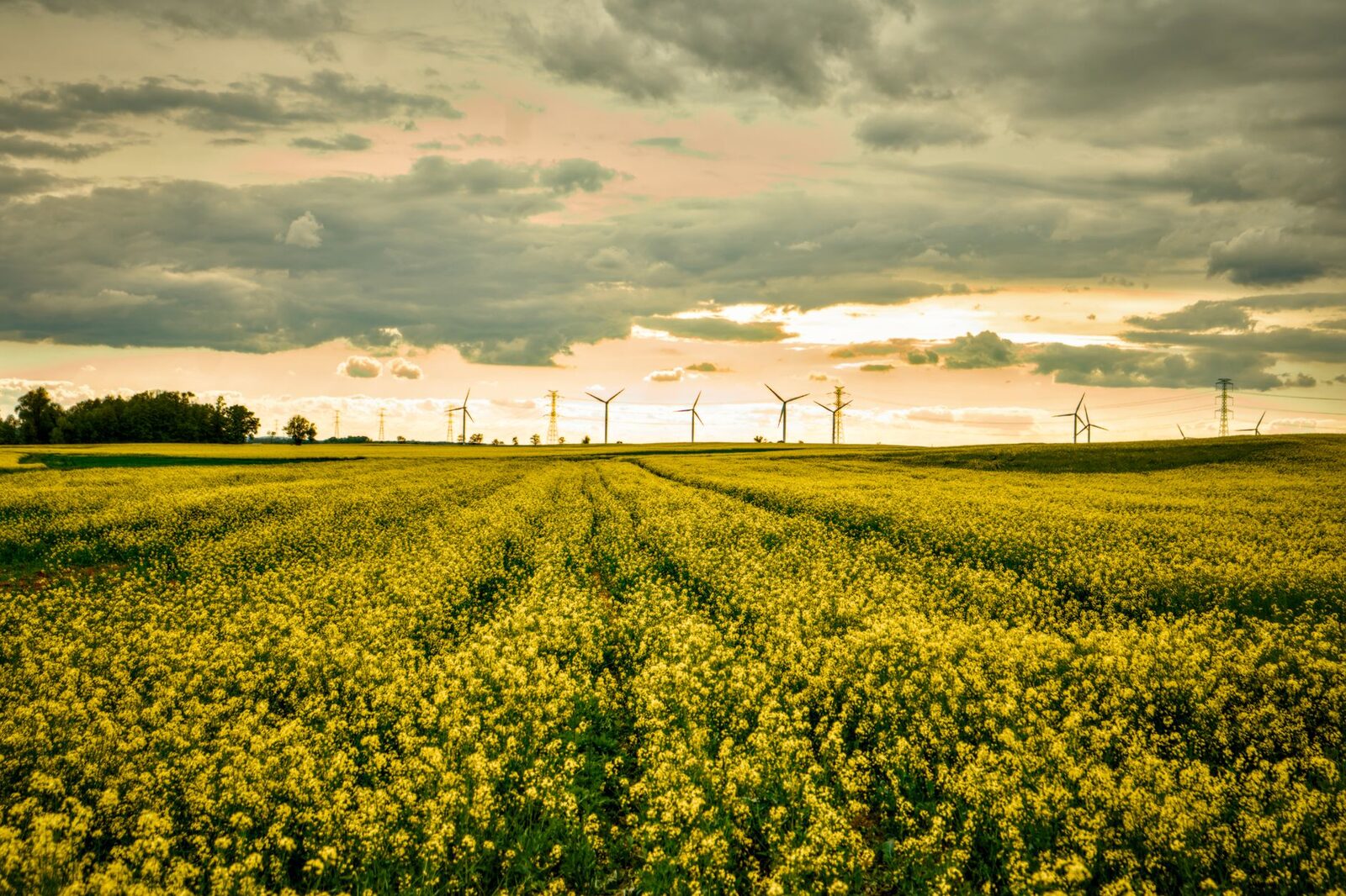 Rural Idaho farmland under drought stress