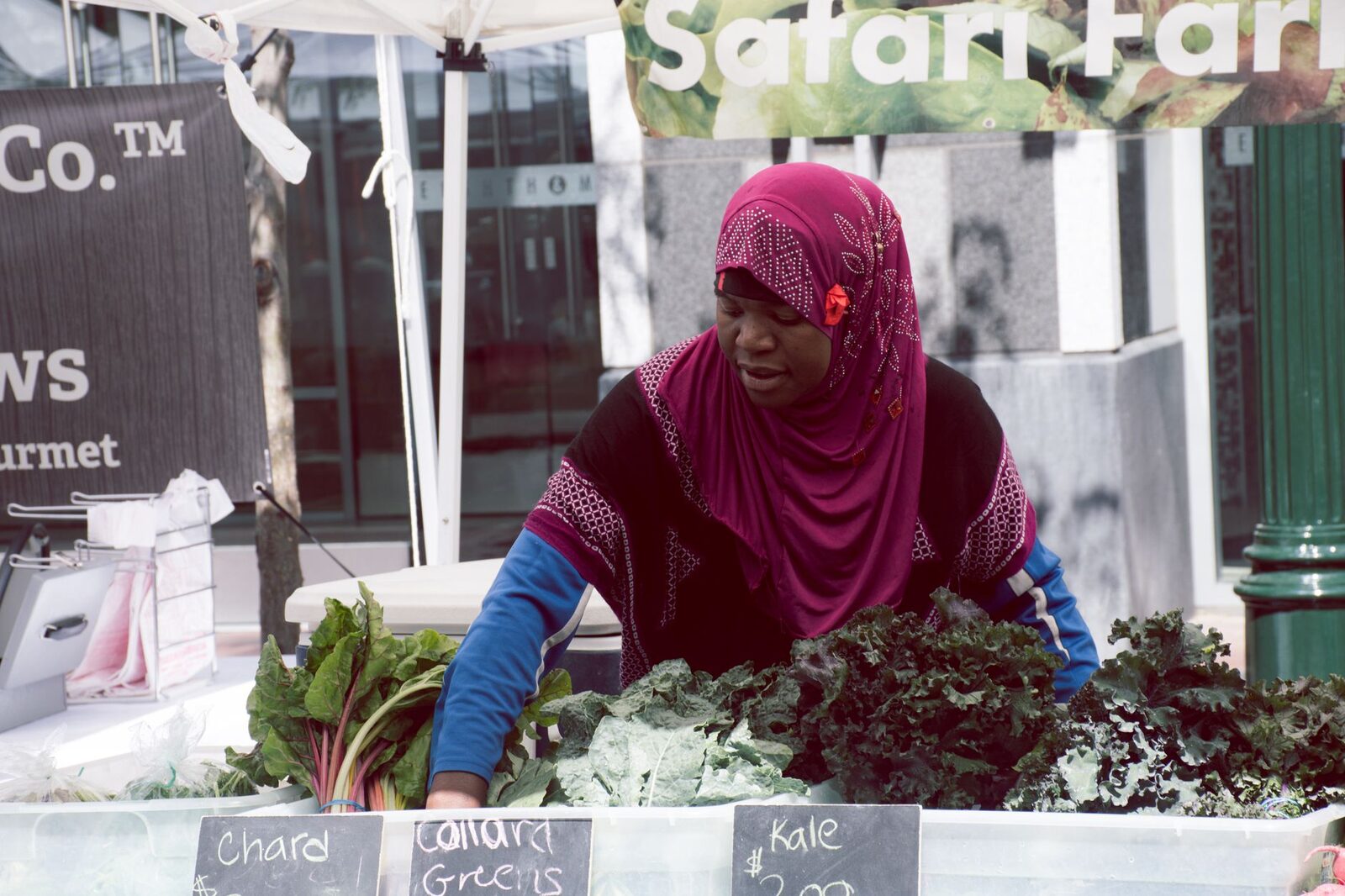 Urban farmers harvesting vegetables at a city farm market