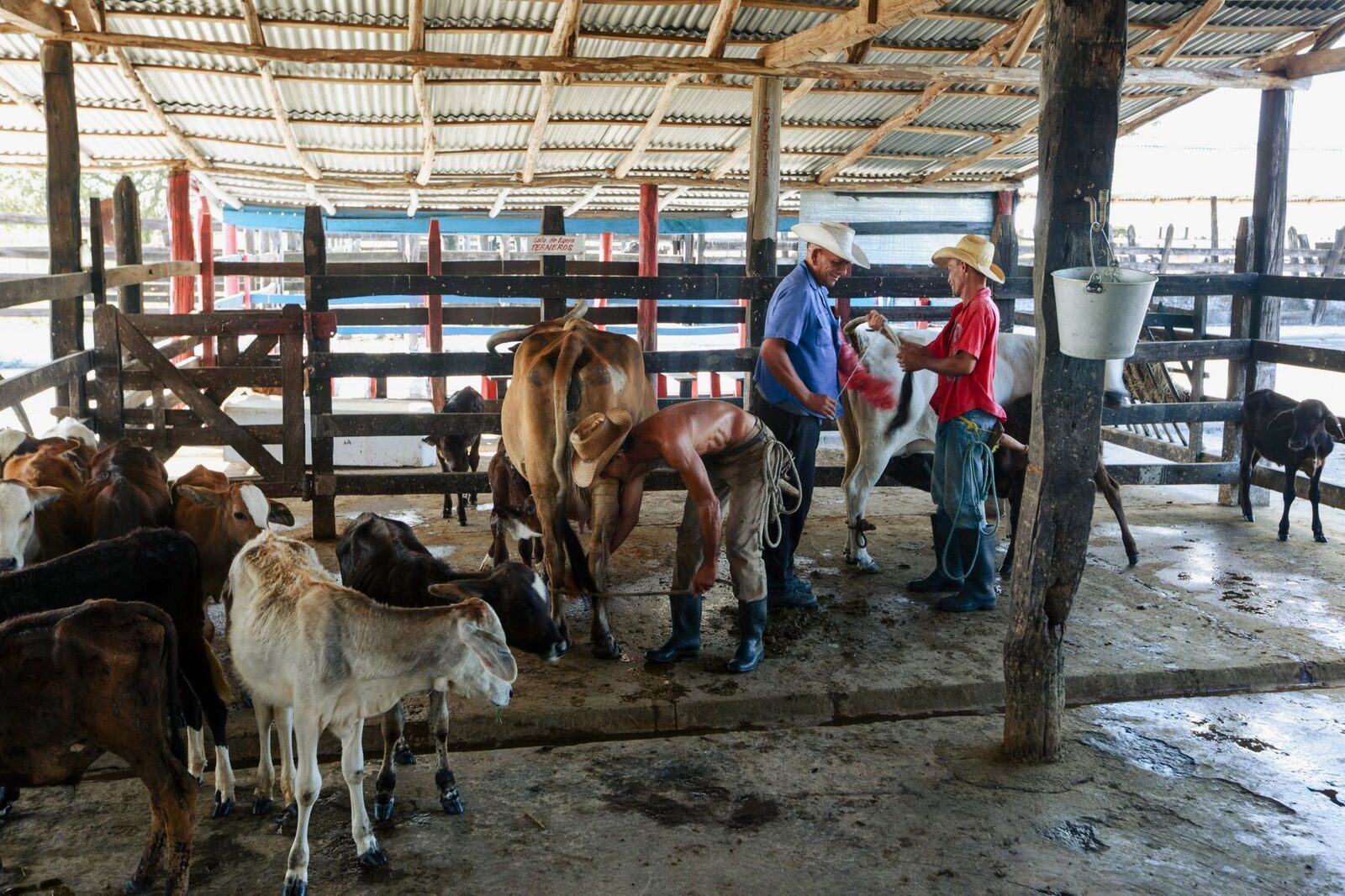 Empty barn representing changing structure of dairy farming