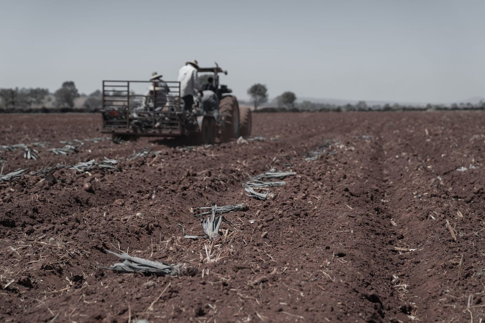Farmer in a field with a tractor