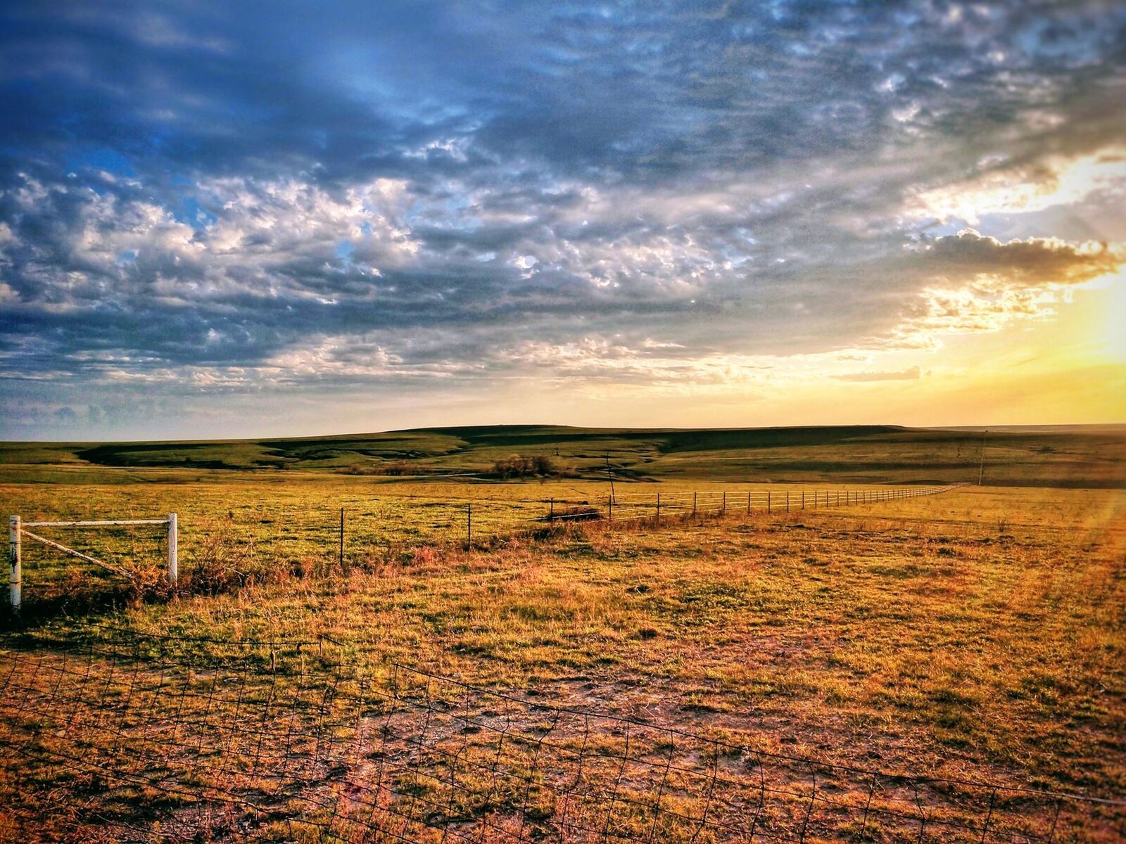 Rolling grasslands under blue sky in the Great Plains